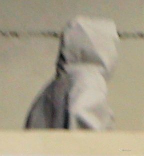 HBBR005.jpg